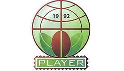 Player Romantika