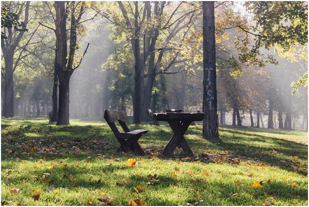 Mirijevo suma park